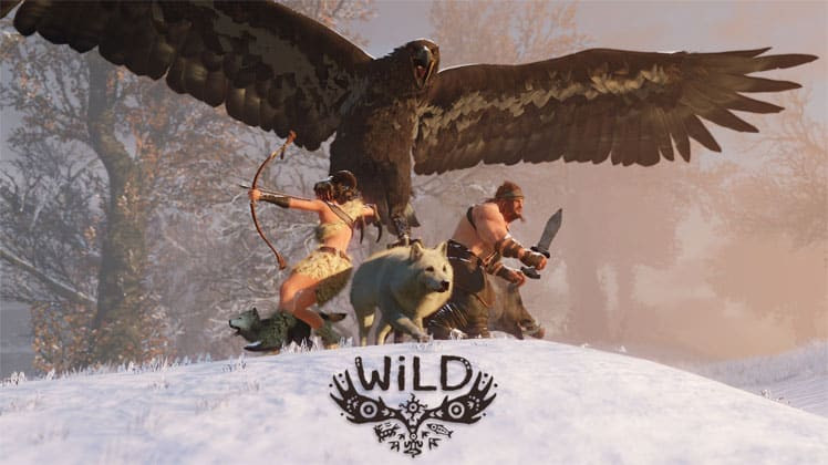 Лучшие предстоящие эксклюзивы на PS4 в 2019, WiLD Лучшие предстоящие эксклюзивы на PS4 в 2019, WiLD