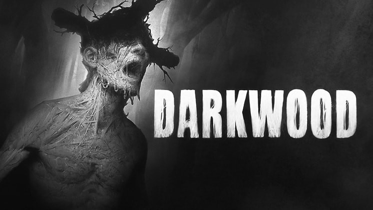 Лучшие игры на выживание на ПК, Darkwood Лучшие игры на выживание на ПК, Darkwood